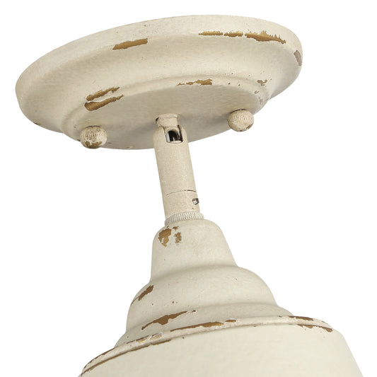 Erin 5 Light Semi-Flush - Outdoor in Natural Black with Maple All-Weather Wicker Shade