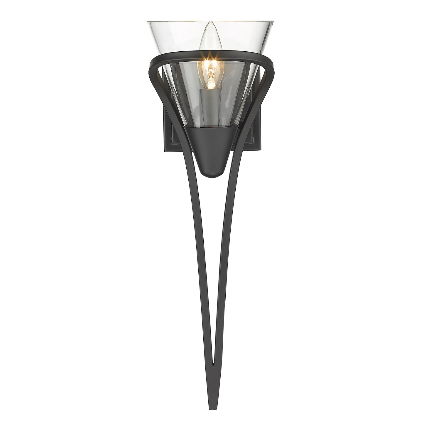 Olympus 1 Light Wall Sconce in Matte Black with Clear Glass Shade