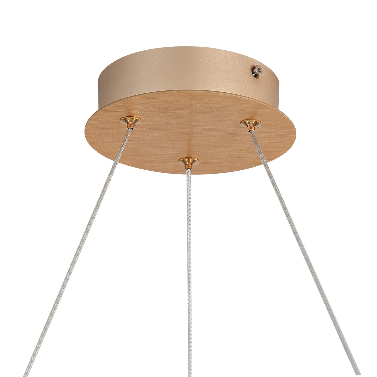 Samantha 24" LED Chandelier in Anodized Gold with No Shade